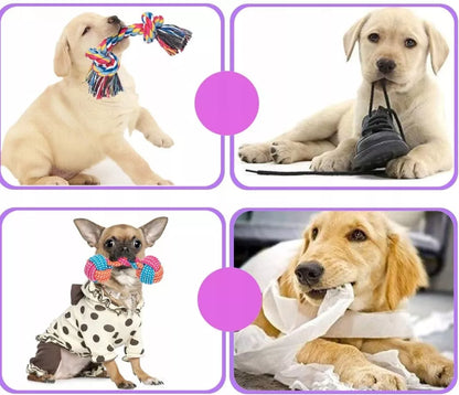 Šunų žaislų rinkinys