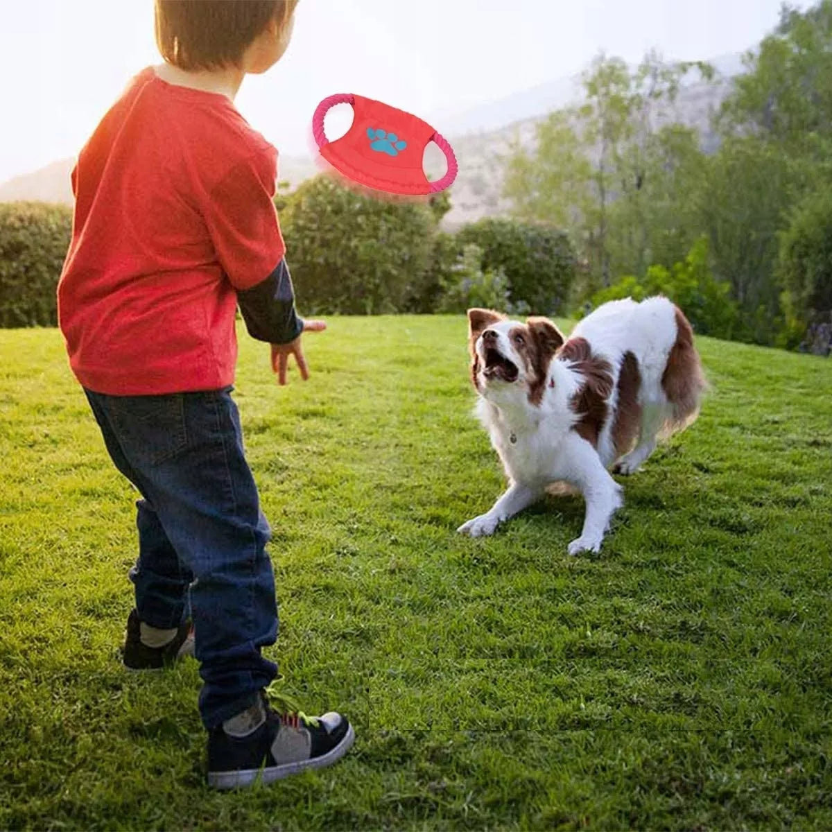 Šunų žaislų rinkinys