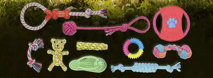 Šunų žaislų rinkinys