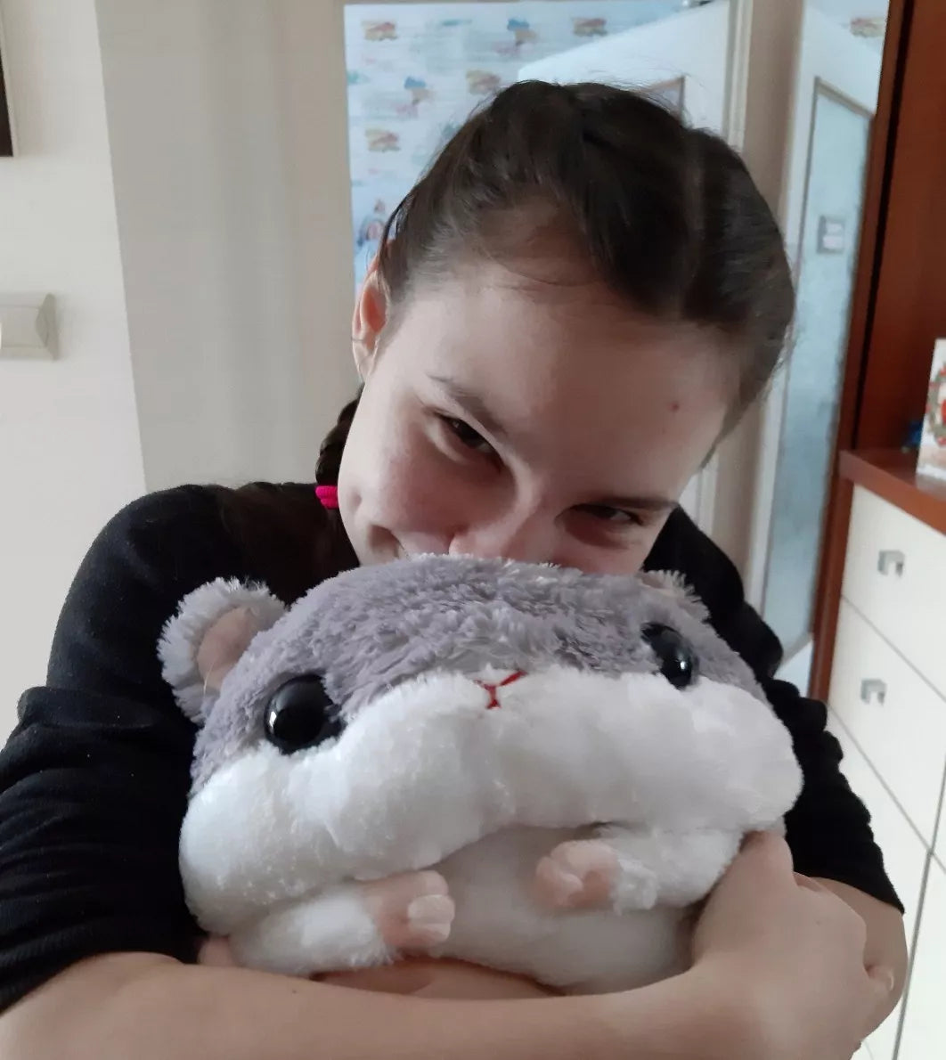 Rinkinys 3in1 Antklodė-Masiuotė Hamsteris Pilkas Minkštas Žaislas Pliušinis Pagalvėlė Antklodėlė 2in1
