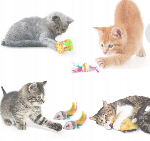 Žaislų rinkinys katėms Žuvis Pelė meškerė didelis tunelis namelis katei 24 vnt XXL