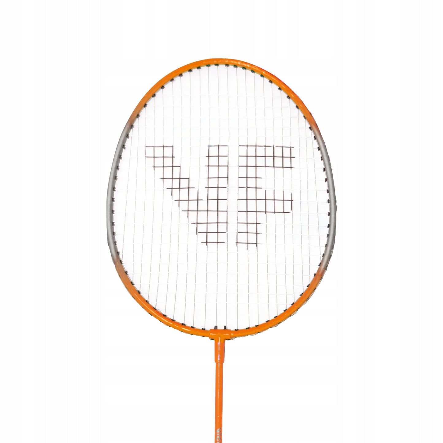 Badmintono rakečių rinkinys + smiginiai Hobby Tipas B VICFUN - PZ