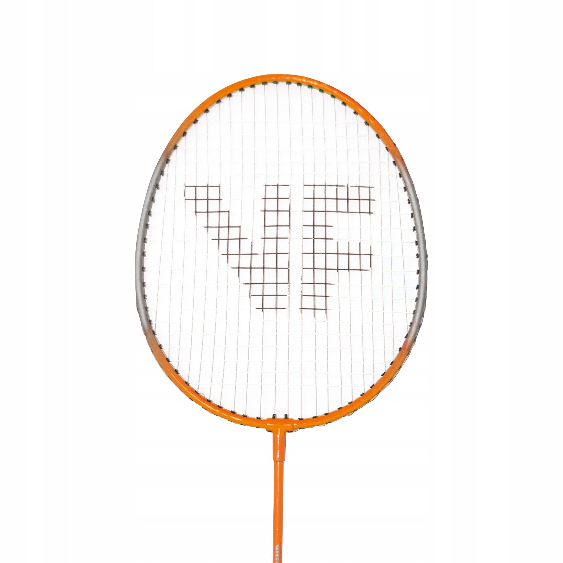 Badmintono rakečių rinkinys + smiginiai Hobby Tipas B VICFUN - PZ