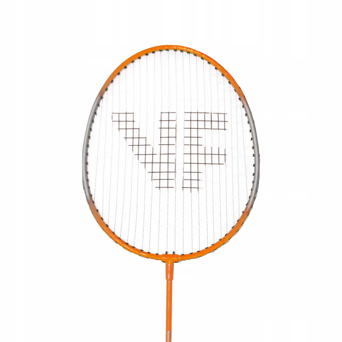 Badmintono rakečių rinkinys + smiginiai Hobby Tipas B VICFUN - PZ