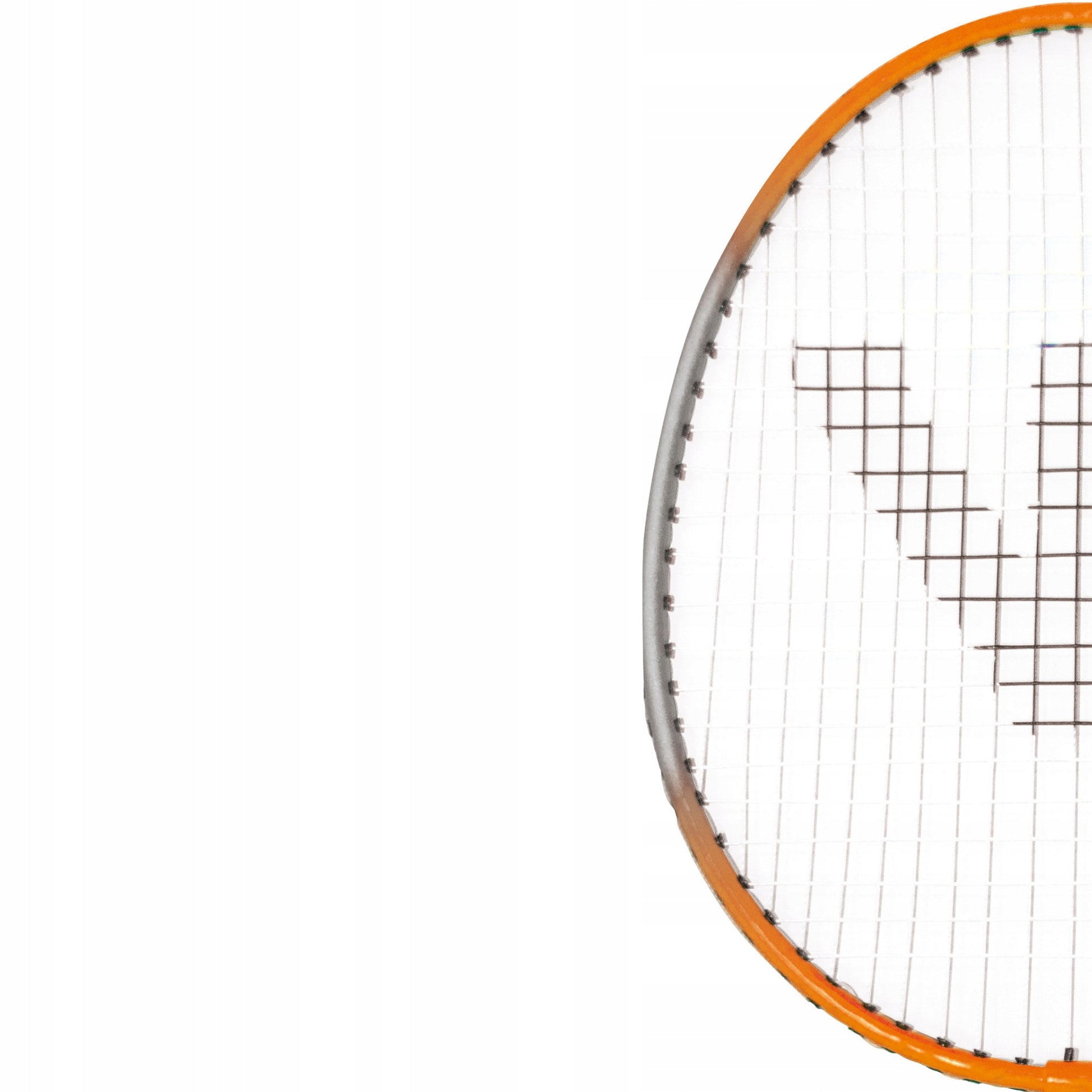 Badmintono rakečių rinkinys + smiginiai Hobby Tipas B VICFUN - PZ