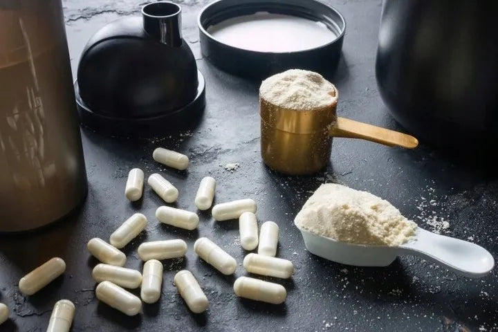 Activlab Creatine Powder Super kreatino monohidratas, j juodųjų serbentų skonio, 500 g