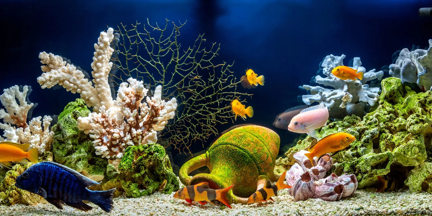 AQUALED akvariumo LED apšvietimas, RGB lempa Malawi 16 spalvų 2x100cm IP68
