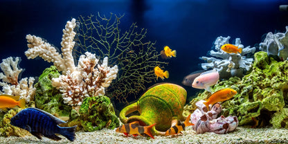 AQUALED akvariumo LED apšvietimas, RGB lempa Malawi 16 spalvų 2x100cm IP68