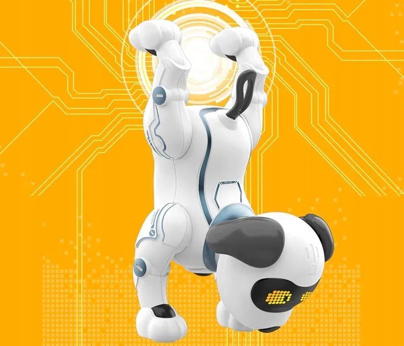 ARTYK programuojamas robotas šuniukas