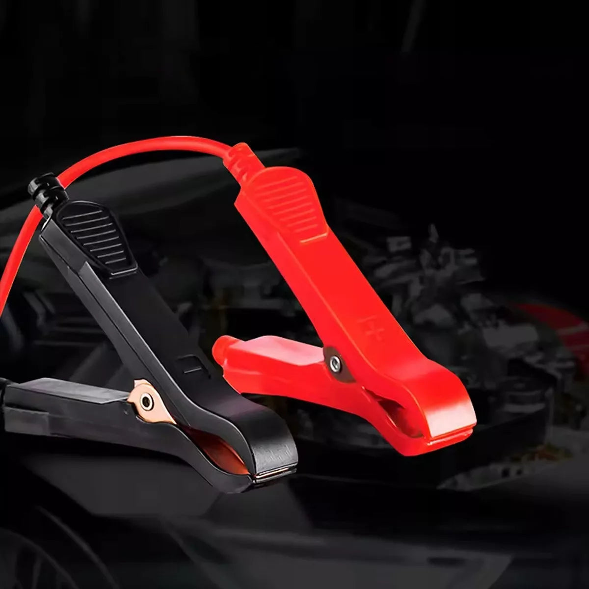 Automobilinis akumuliatorių įkroviklis su remonto funkcija AGM 6V 12V