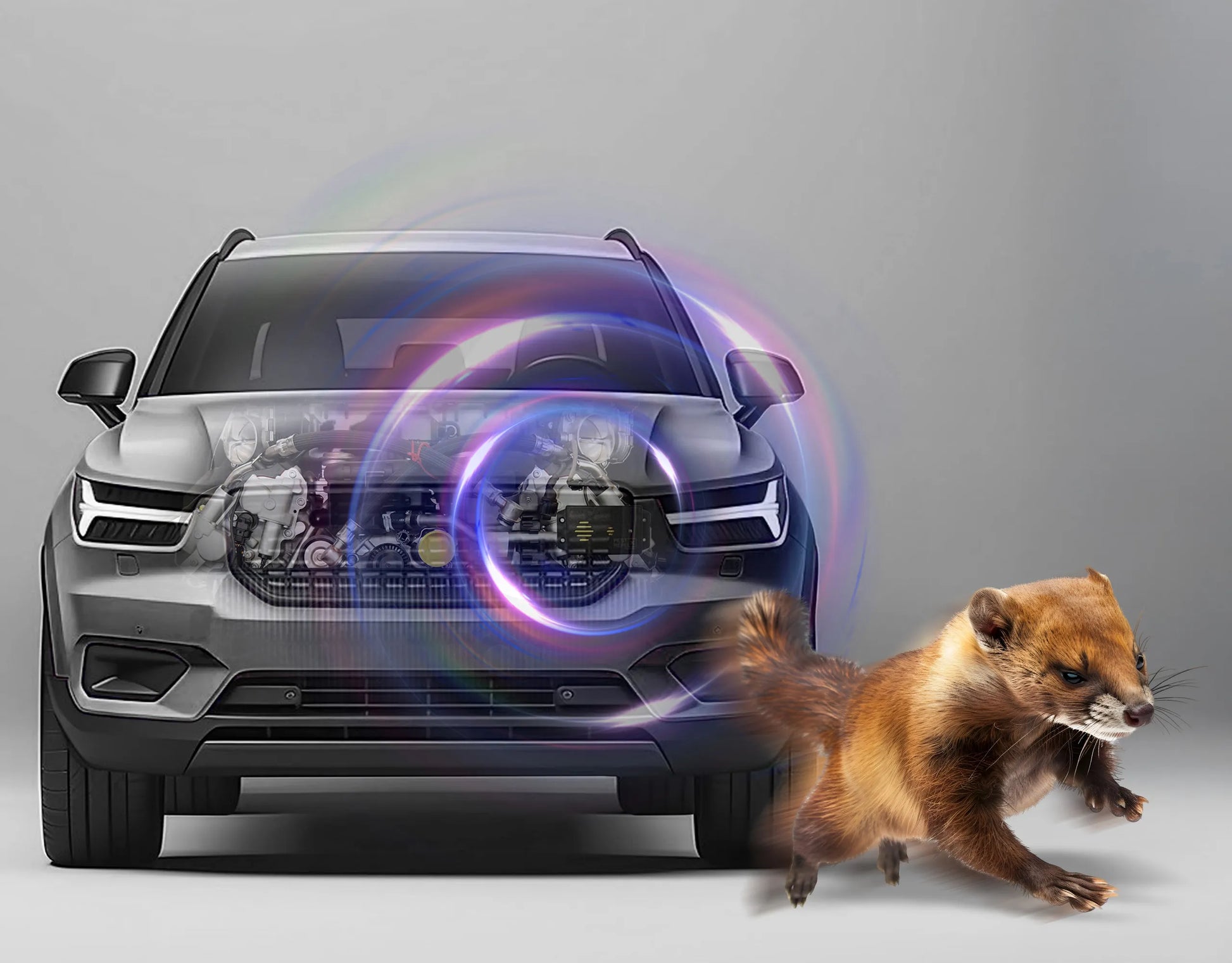 Automobilinis ultragarsinis graužikų, kiaunių ir žiurkių atbaidiklis Car Guard No Pest
