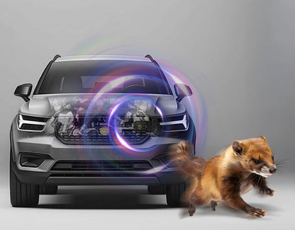 Automobilinis ultragarsinis graužikų, kiaunių ir žiurkių atbaidiklis Car Guard No Pest