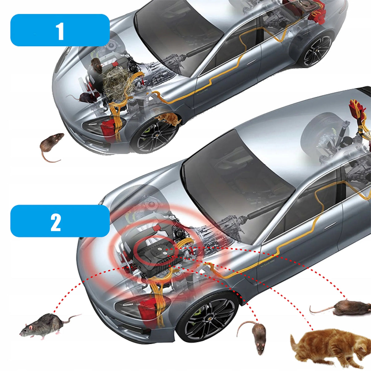 Automobilinis ultragarsinis kiaunių ir graužikų atbaidytuvas, 5–12 V