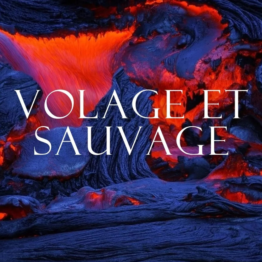 Möller SPA VOLAGE ET SAUVAGE DUŠO GELIS SU KVEpalų KVAPAS VYRAMS 5L