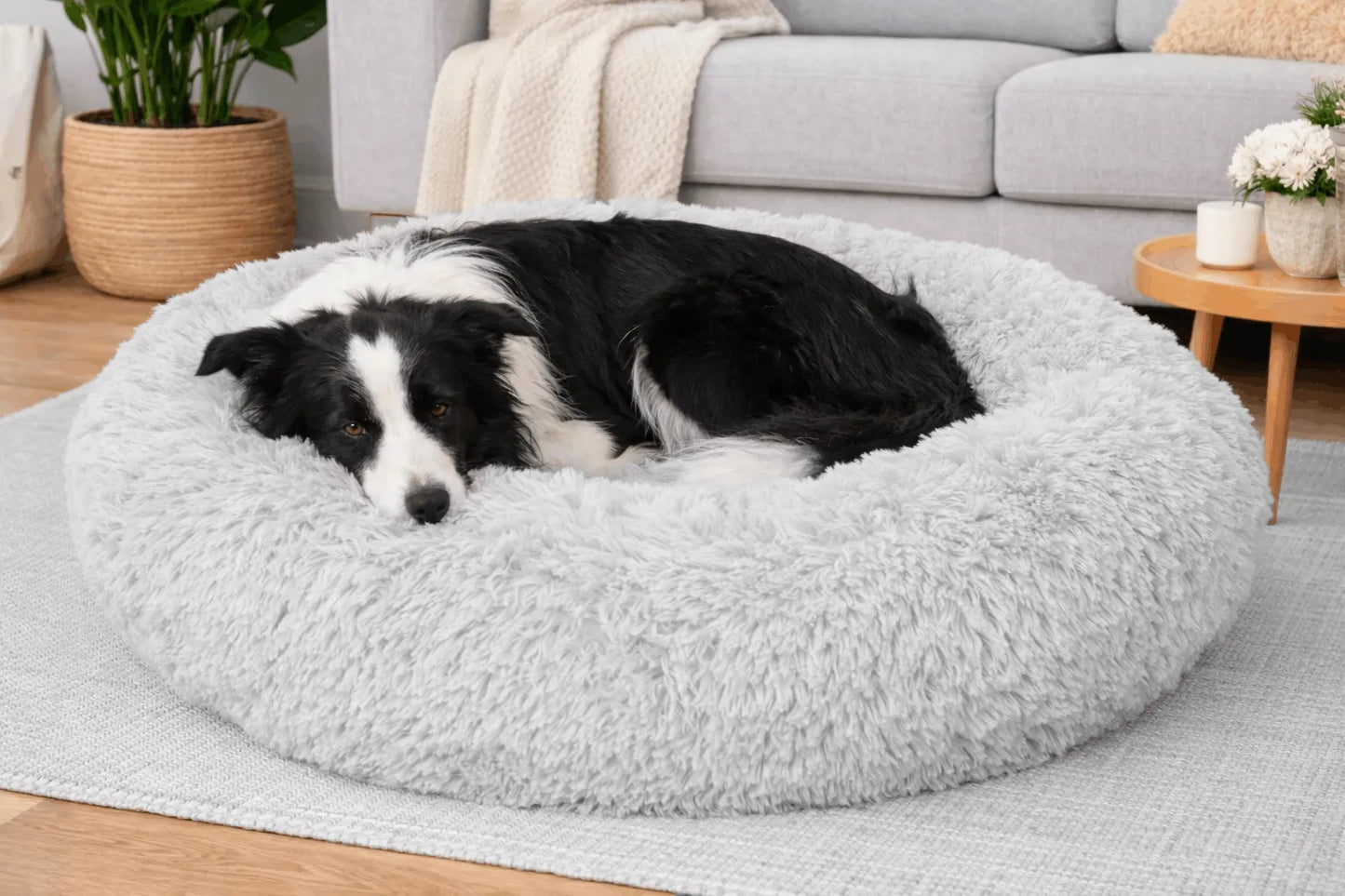 BB-Shop Shaggy pliušinė gultas šunims ir katėms, 80 cm – patogus ir neslystantis