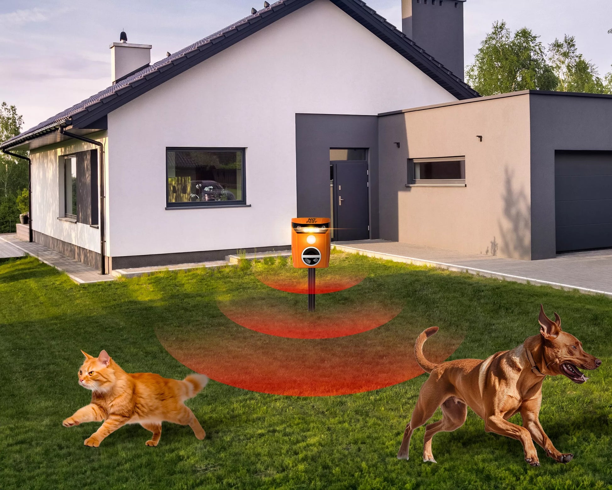 ULTRAGARSINIS GYVŪNŲ (KAČIŲ, ŠUNŲ, KUNIŲ, LAPIŲ, ŠERNŲ, STIRNŲ, ELNIŲ) BAIDYKLAS NO PEST