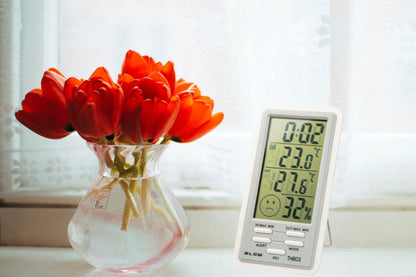 BLOW TH803 orų stotelė LCD termometras higrometras laikrodis
