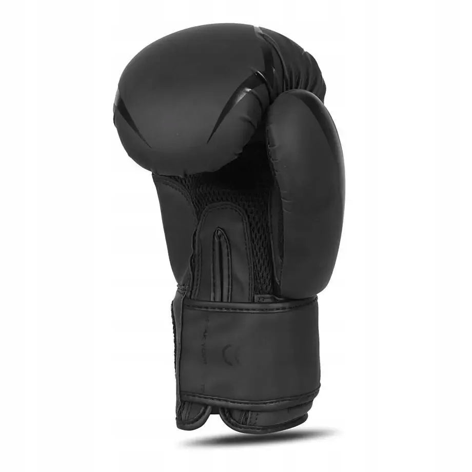 DBX Bushido bokso pirštinės kikboksui 10oz