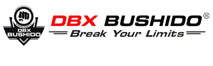 DBX Bushido bokso pirštinės kikboksui 10oz