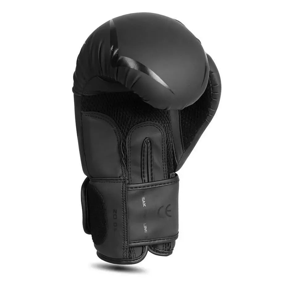 DBX Bushido bokso pirštinės kikboksui 10oz