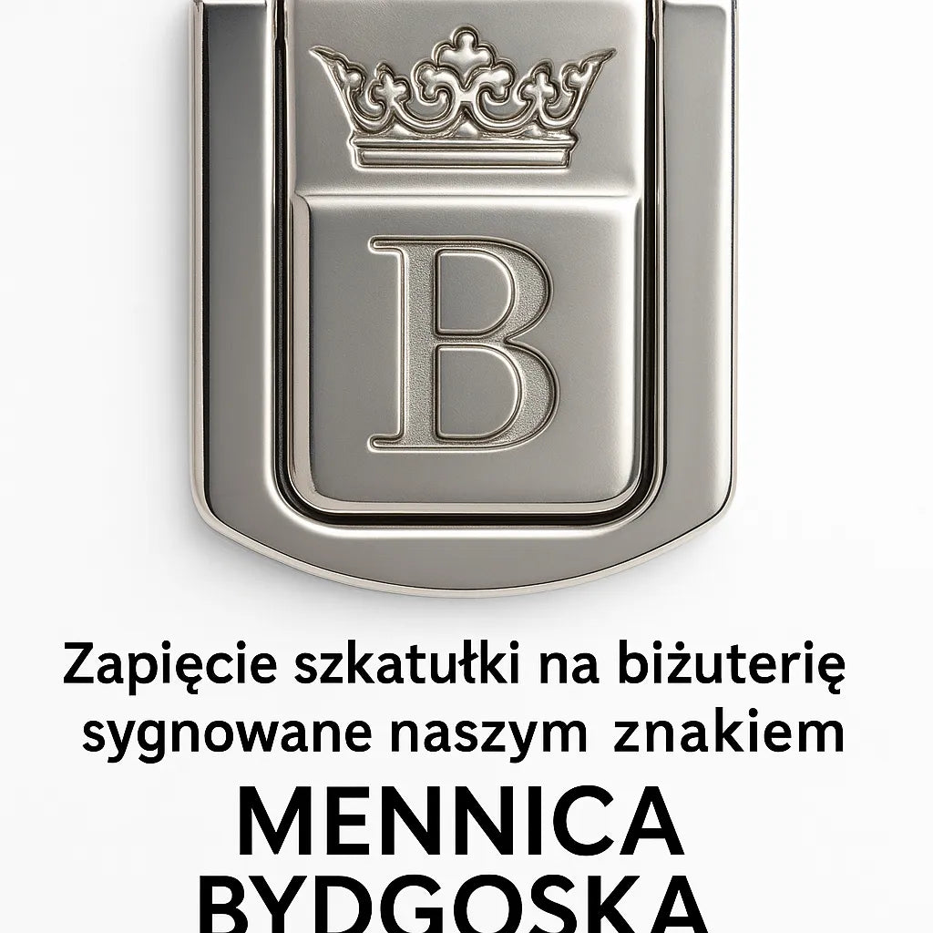 Didelė papuošalų dėžutė juoda elegantiška dėžutė organizatorius kasetė
