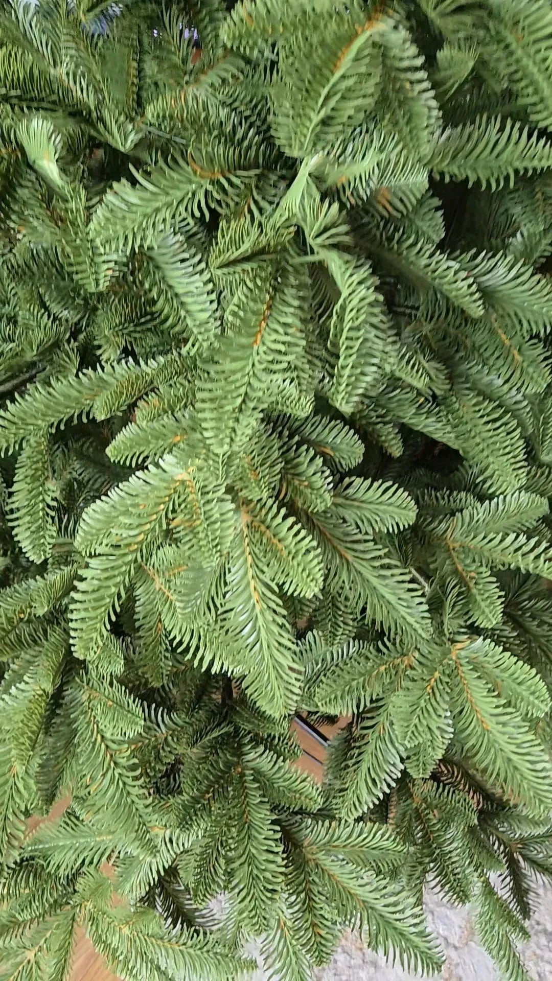 Dirbtinė eglutė „Art-Trans Olive Glow“, 100 % PE, 220 cm, šviesiai žalias kėnis