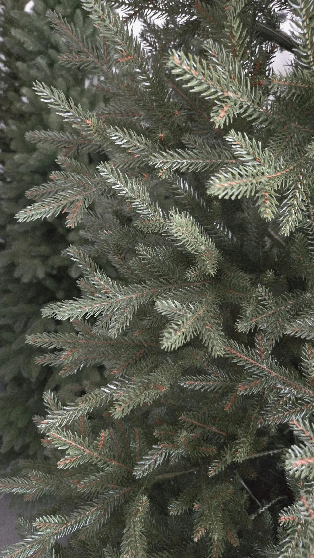 Dirbtinė eglutė „Świerk Natural“, 100 % PE, aukščiausios kokybės, tikroviška, 180 cm
