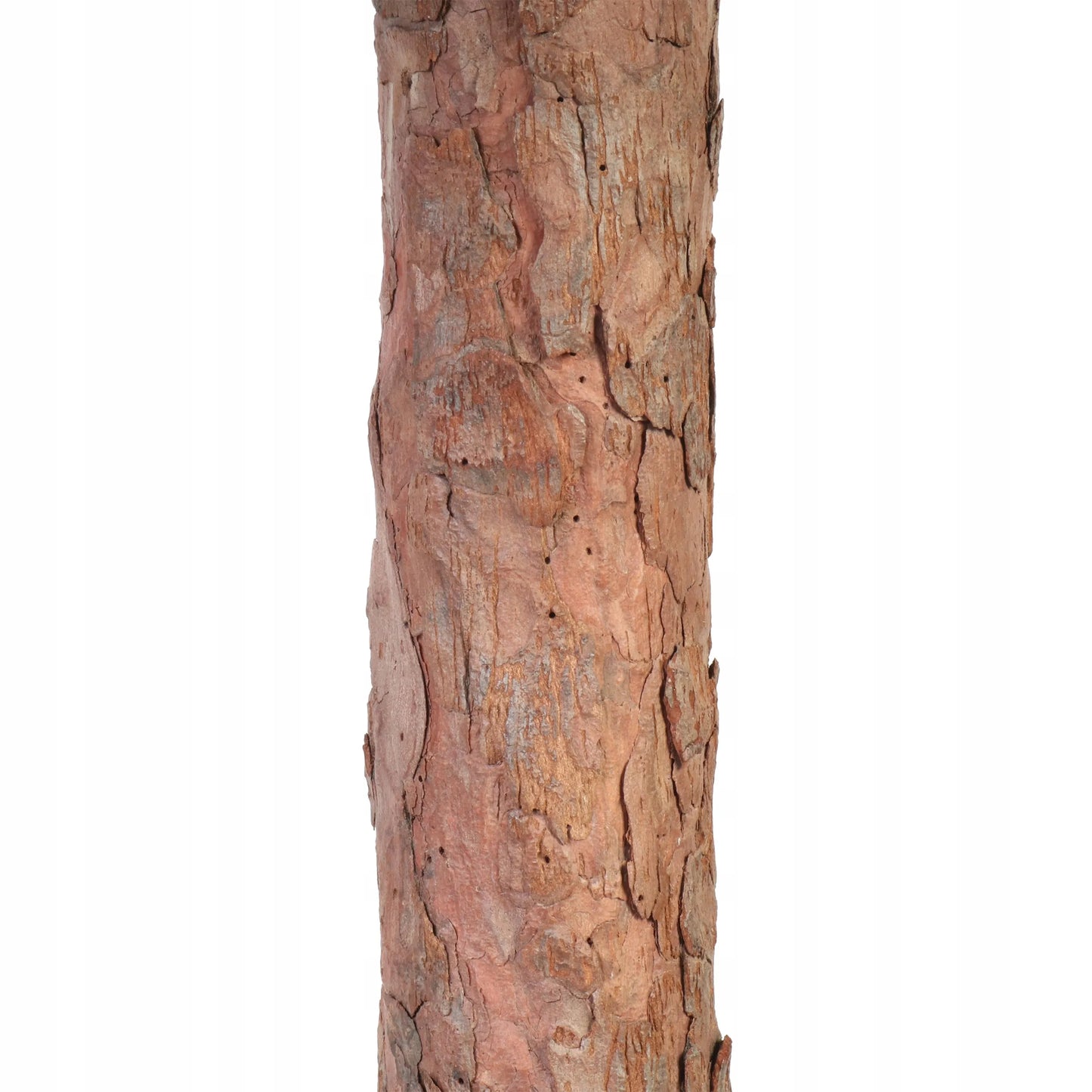 DIRBTINĖ KALĖDŲ EGLUTĖ ANT KAMIENO „Goliat OLA“, NATŪRALUS KAMIENAS, 160 CM, LENKIJA
