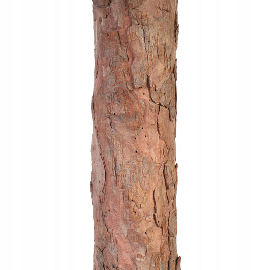DIRBTINĖ KALĖDŲ EGLUTĖ ANT KAMIENO „Goliat OLA“, NATŪRALUS KAMIENAS, 160 CM, LENKIJA