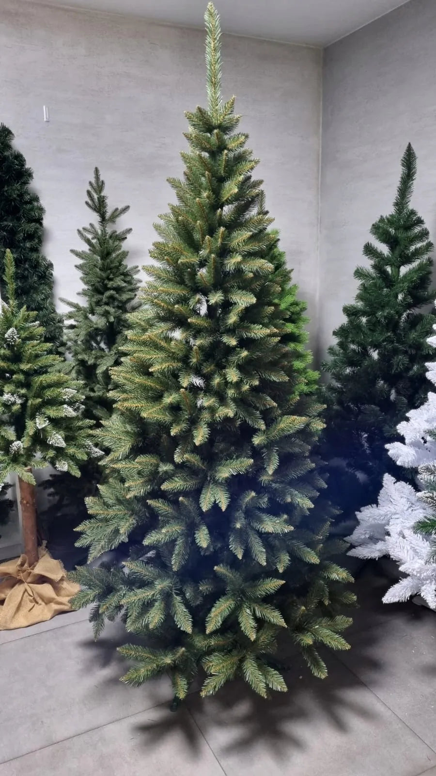Dirbtinė kaukazietiška eglė „Świerk Kaukaski“ 220 cm, itin tanki ir natūraliai atrodanti, su stovu