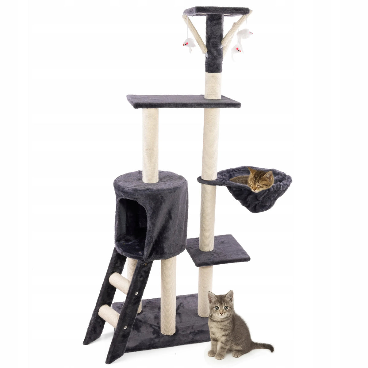 Draskyklė katei 138 cm, tamsiai pilka, WERDANO PETS