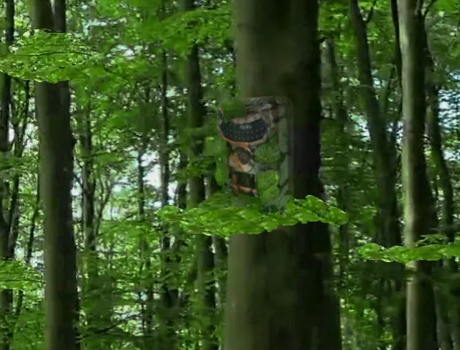 draVires miško kamera, medžioklės takų kamera su IR