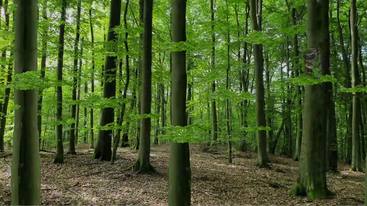 draVires miško kamera, medžioklės takų kamera su IR