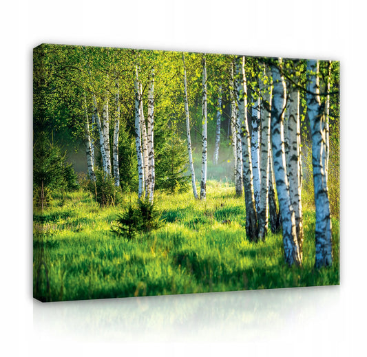 Drobės paveikslas sienai „Las Natura Widok“, miško peizažas, 80 × 60 cm, Wallarena