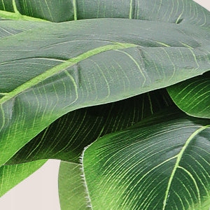 Katės draskyklė palmių stulpelis žaislas