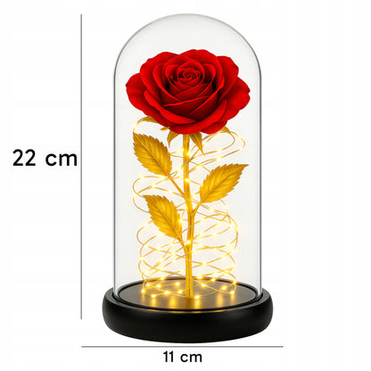 AMŽINA RAUDONA RAUDONA ROŽĖ STIKLINĖJE, ŠVIEČIANTI LED, DOVANA Valentino dienai, Moters dienai