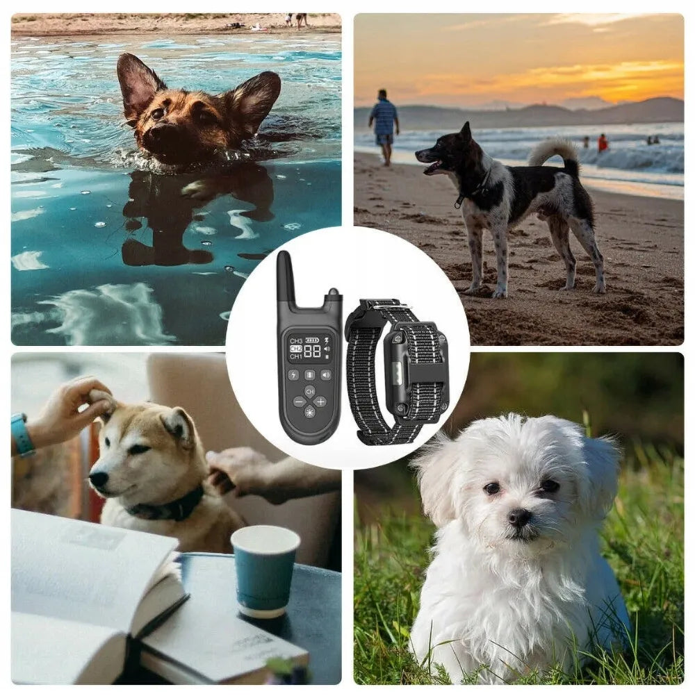 Elektrinis dresavimo antkaklis šunims su nuotolinio valdymo pultu