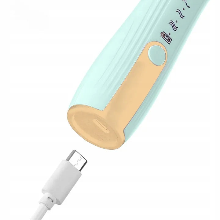 Elektrinis pieno plakiklis LATTEA su USB-C, 3 greičiai, kavos maišytuvas, juodas