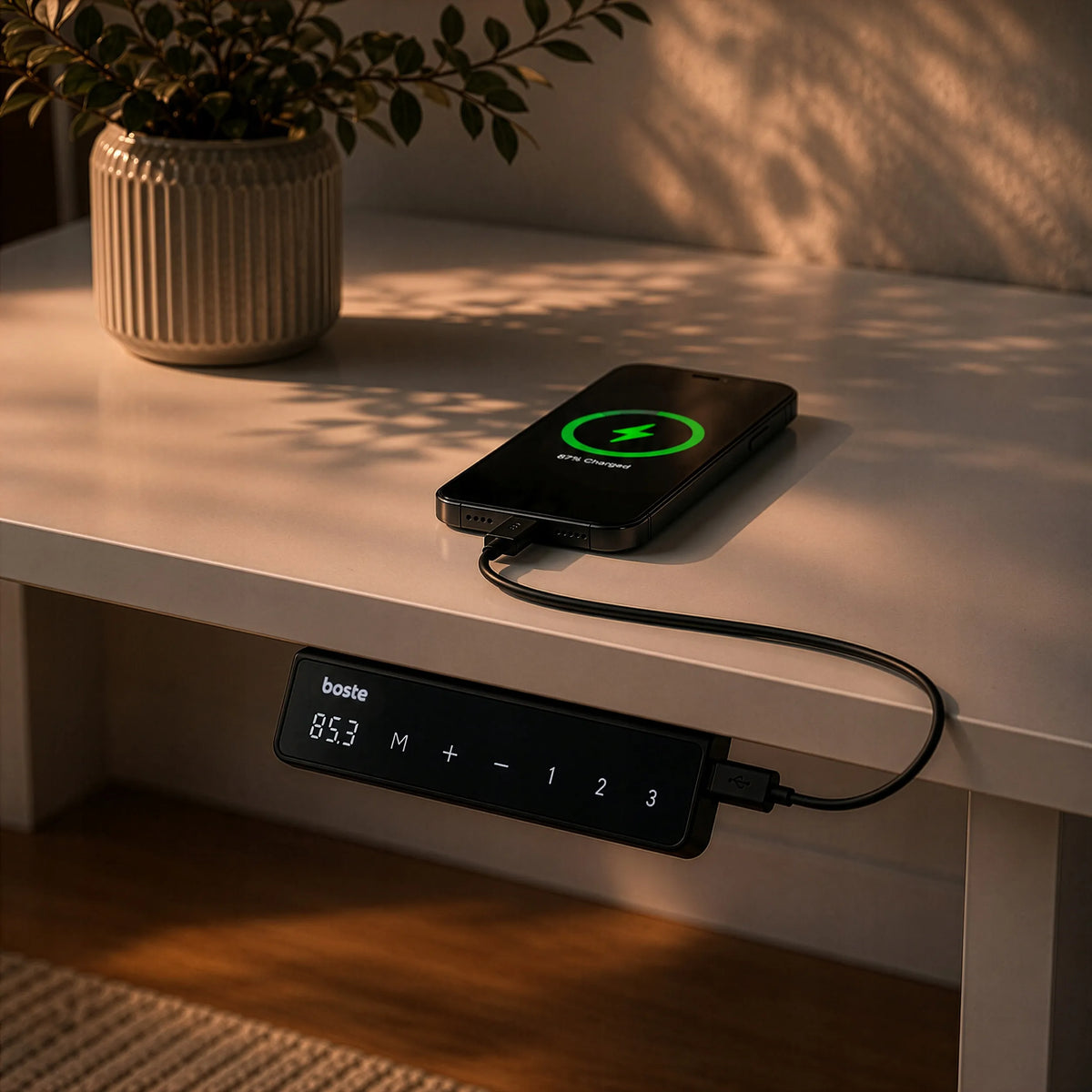 Elektrinis stalas 120 × 60 cm, reguliuojamo aukščio 73–118 cm, su vientisu stalviršiu