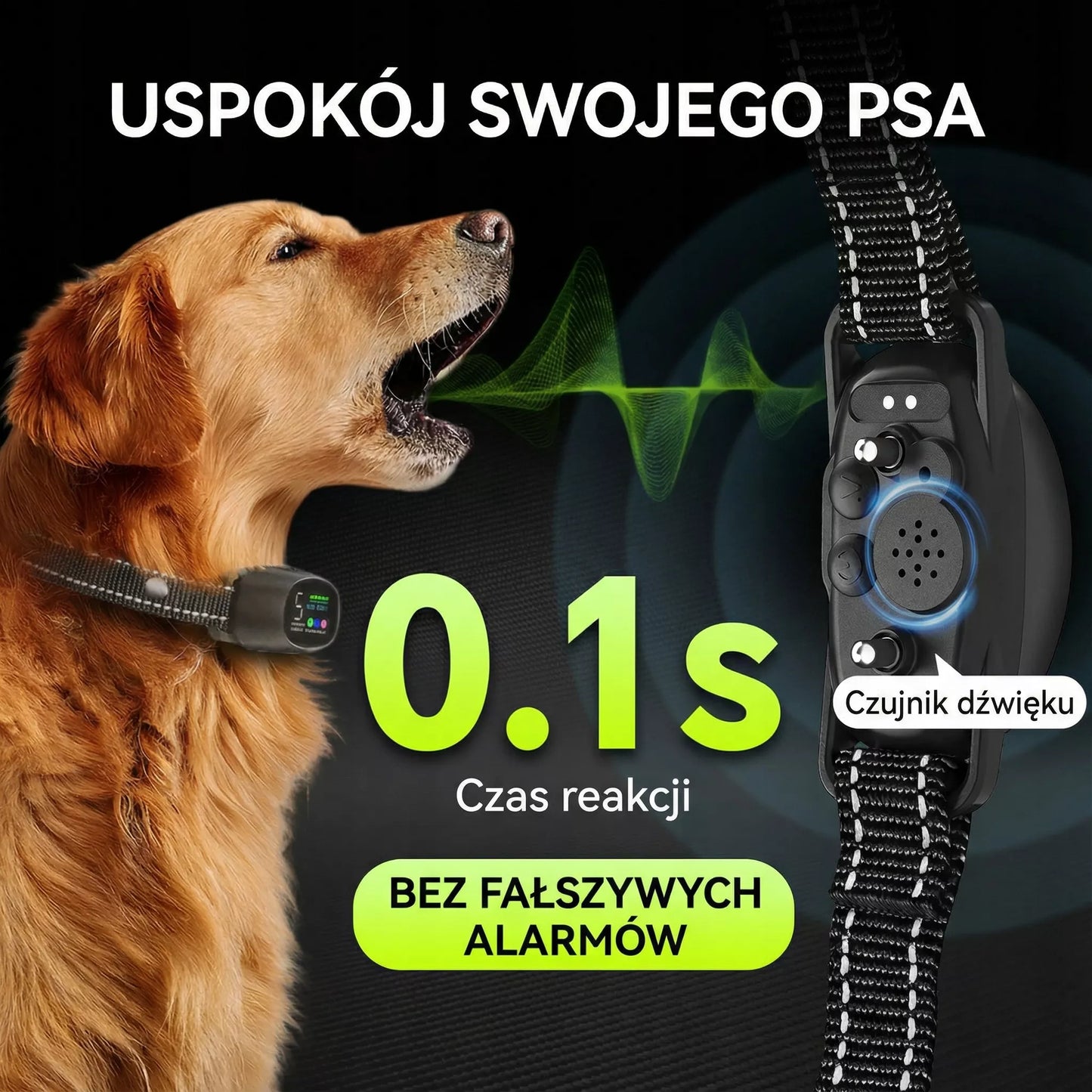 Elektroninis antkaklis šuniui