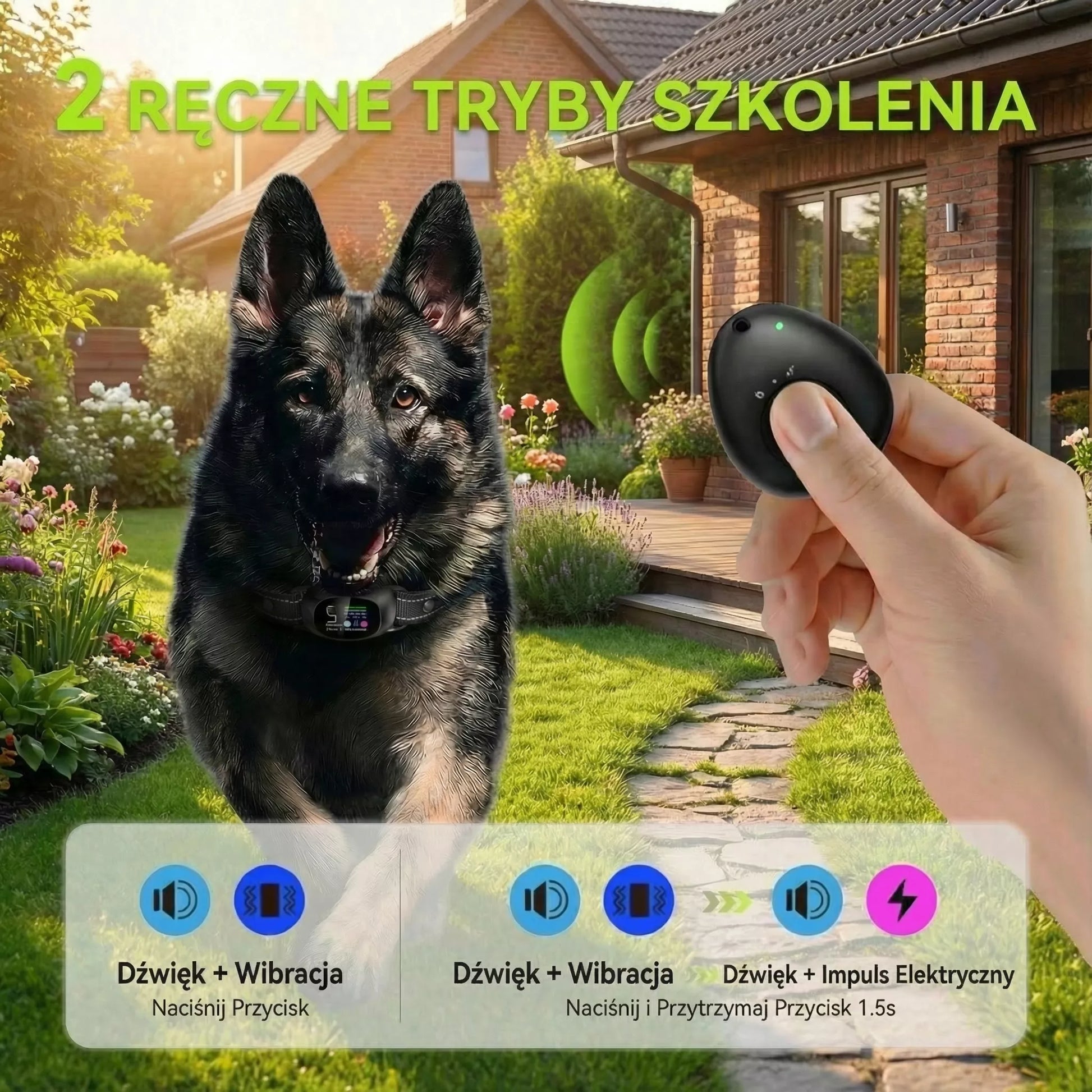Elektroninis antkaklis šuniui