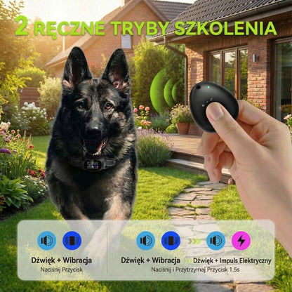 Elektroninis antkaklis šuniui