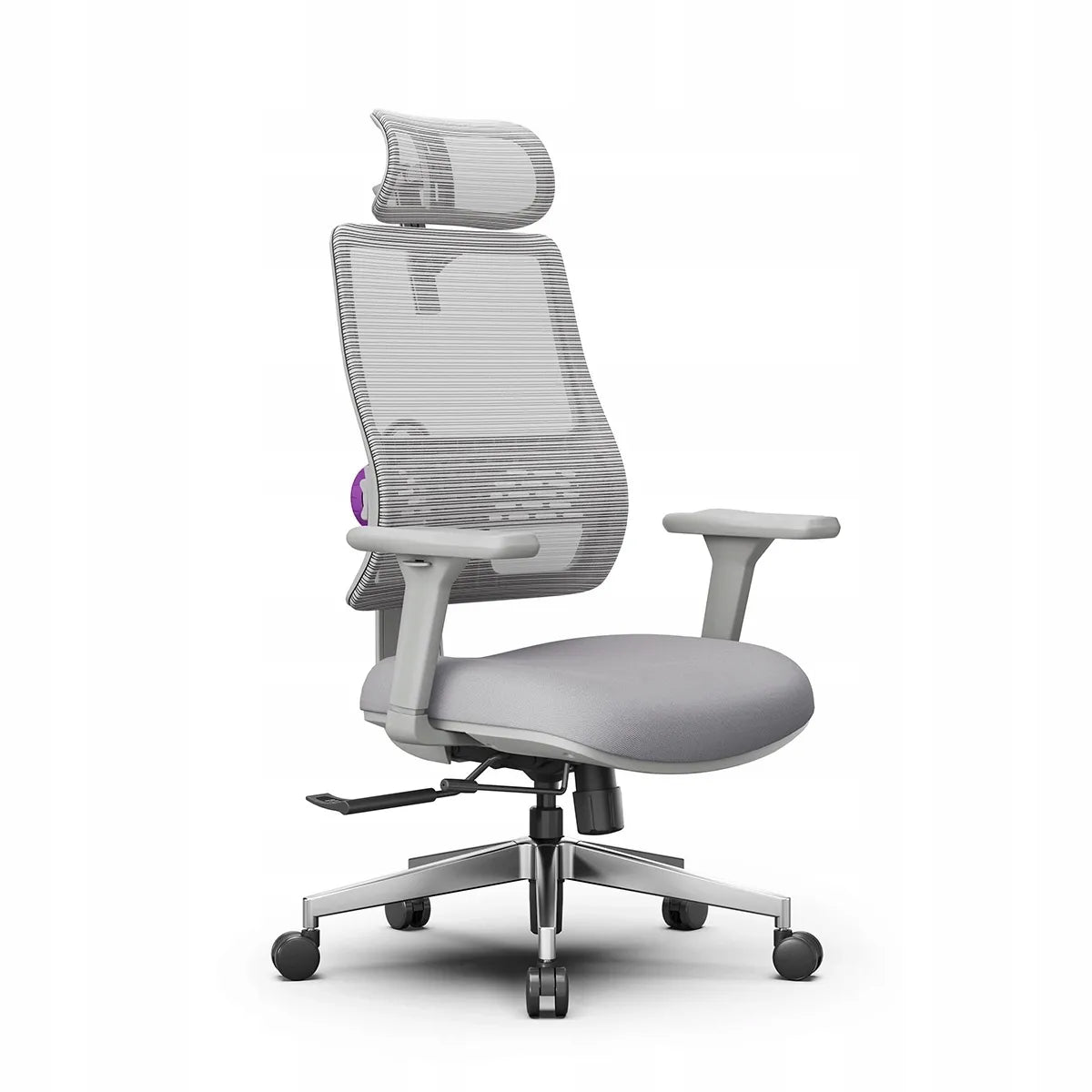 Ergonominė biuro kėdė Spacetronik Lumbo 11, pilka