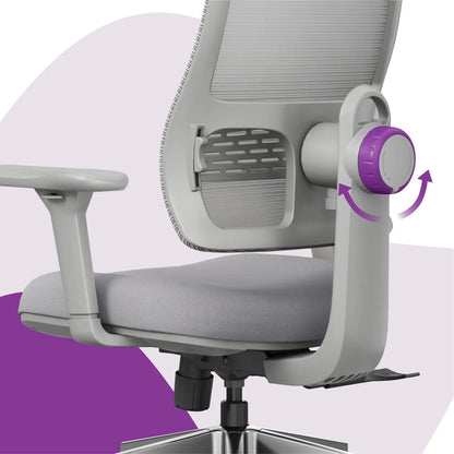 Ergonominė biuro kėdė Spacetronik Lumbo 11, pilka
