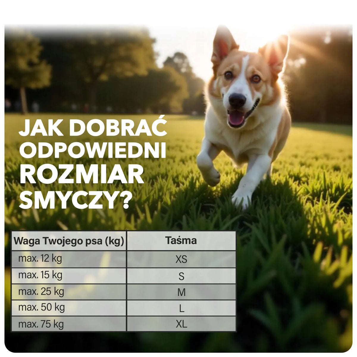 Flexi New Classic automatinis juostinis pavadėlis šuniui, 5 m, S dydis, juodas, su blokatoriumi, iki 15 kg