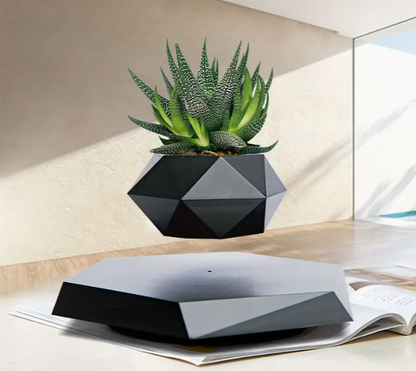 Levitating plant (black)