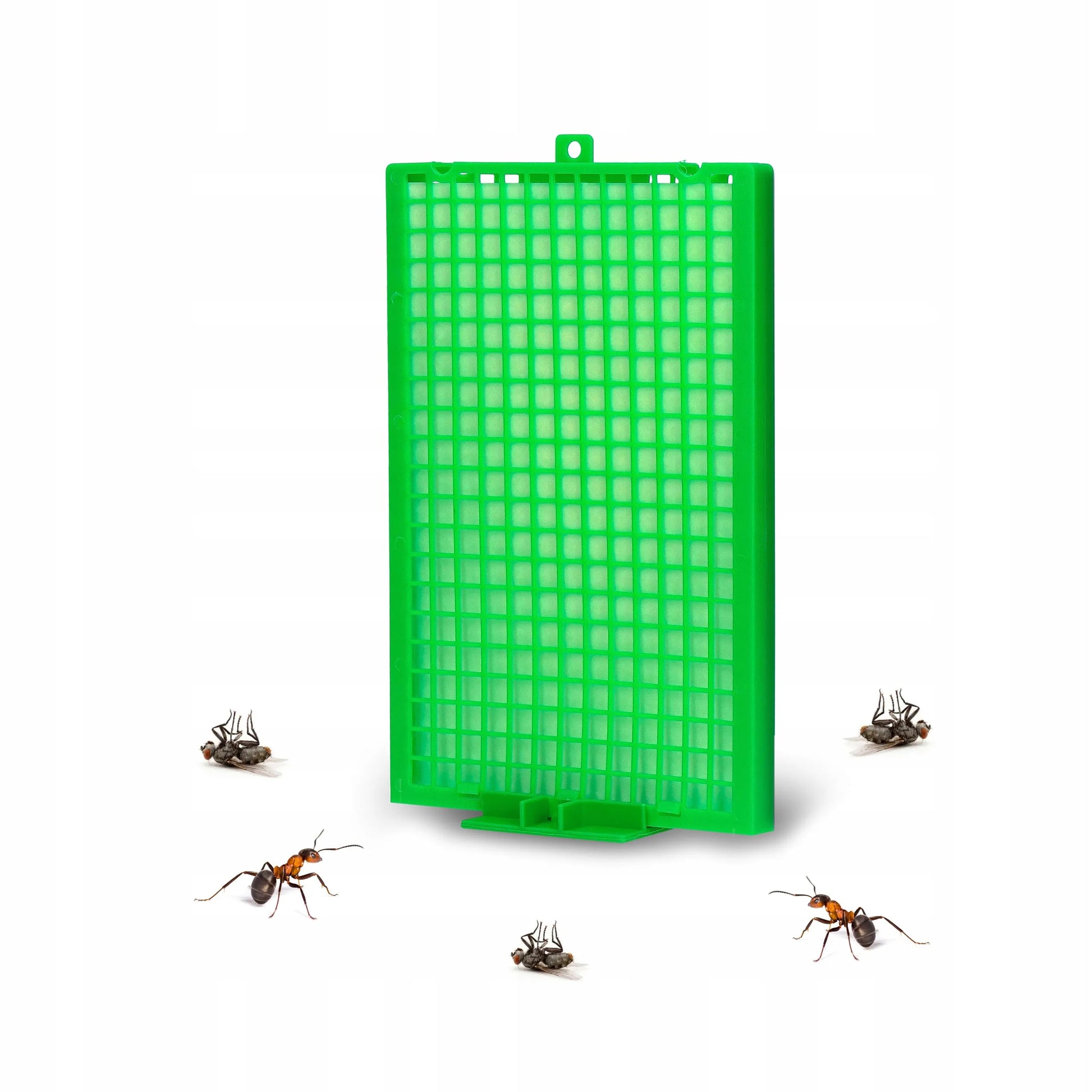 Insekticidinė plokštelė nuo skruzdėlių, vorų, kandžių, musių, tarakonų, blusų ir uodų No Pest