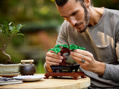 LEGO BOTANICALS Bonsajaus medelis 10281