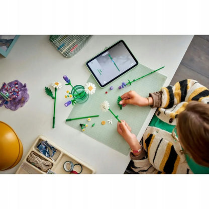 LEGO Botanicals saulutės 11508