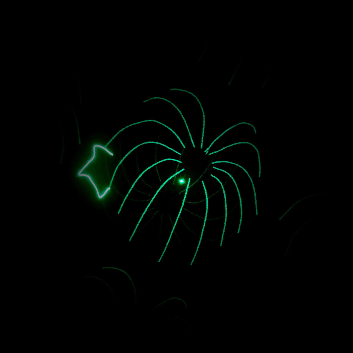 Light4Me PARTY LASER 1 RGB DMX lazerinis projektorius su skeneriu
